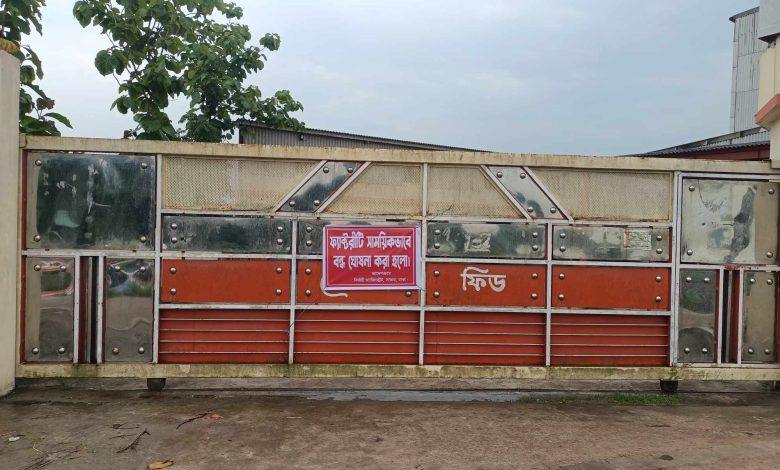 মেঘনা ফিড