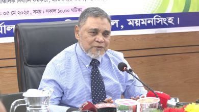 সিইসি