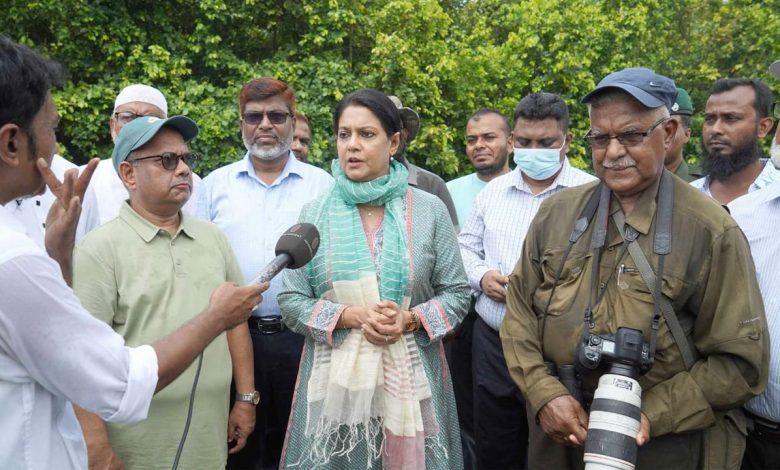 সৈয়দা রিজওয়ানা হাসান