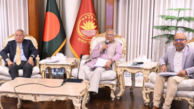 প্রধান উপদেষ্টা