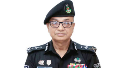 মো. আহসান হাবীব পলাশ
