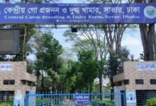 সাভার ডেইরী ফার্ম