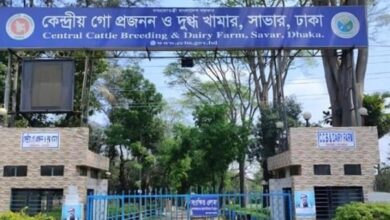 সাভার ডেইরী ফার্ম