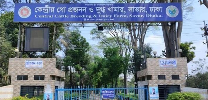 সাভার ডেইরী ফার্ম