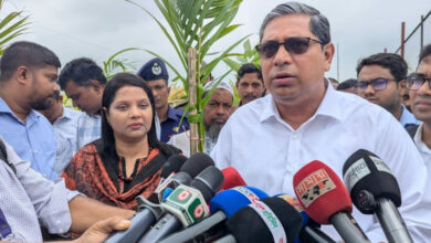 মীর শাহে আলম