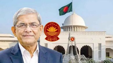 মির্জা ফখরুল ইসলাম আলমগীর