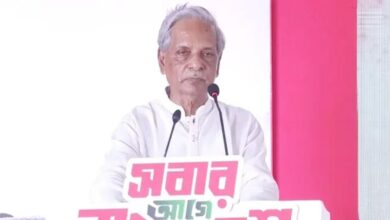 নিতাই রায় চৌধুরী