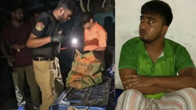 গ্রেপ্তার আরিফ