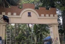 ঢাবি