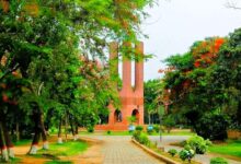 জাবি
