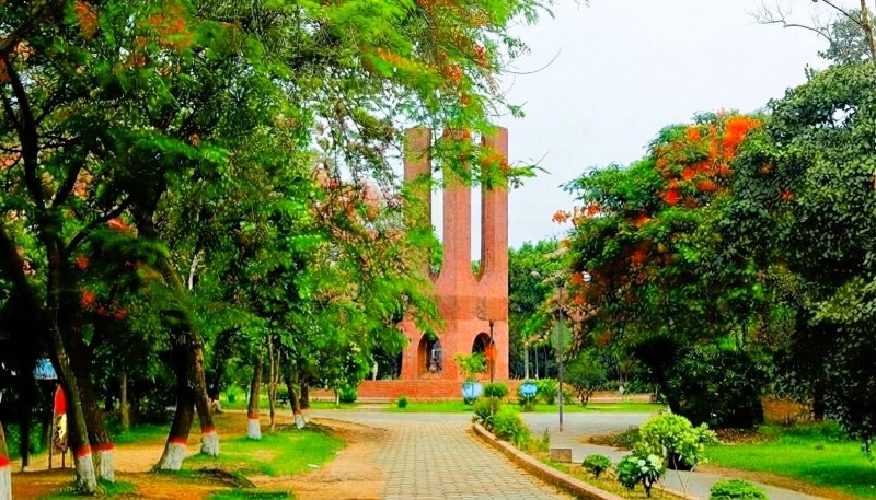 জাবি