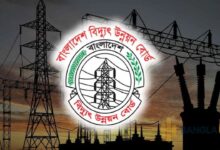 বিদ্যুৎ উন্নয়ন বোর্ড