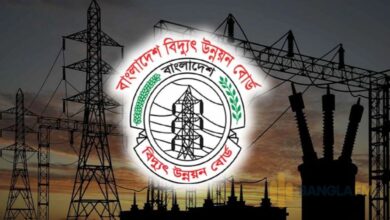 বিদ্যুৎ উন্নয়ন বোর্ড